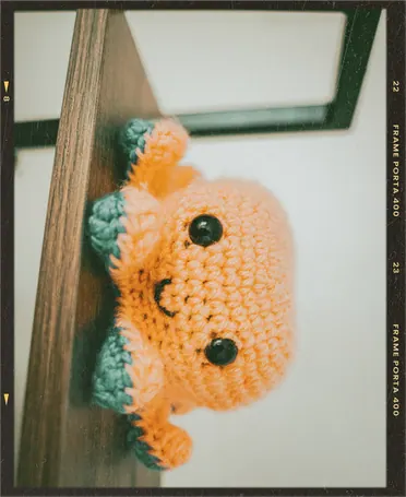 Crochet octopus