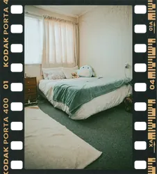The green bed