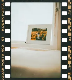 Sunflower print, bedside